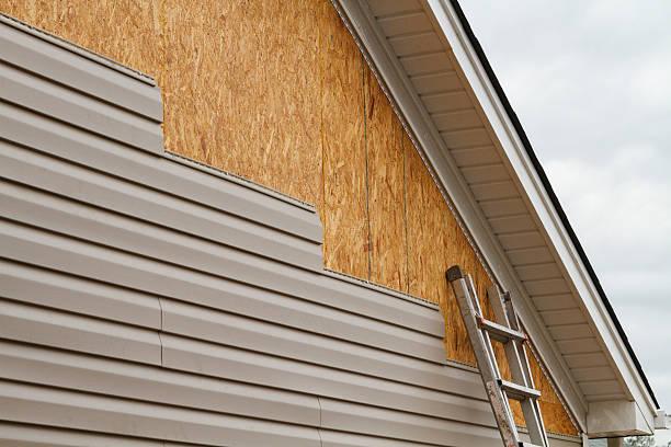 Professional Wood Siding technician working in Alva, FL